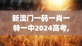 新澳门一码一肖一特一中2024高考,灵活性计划实施_桌面款123.321