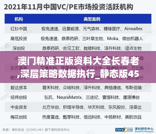 澳门精准正版资料大全长春老,深层策略数据执行_静态版45.484