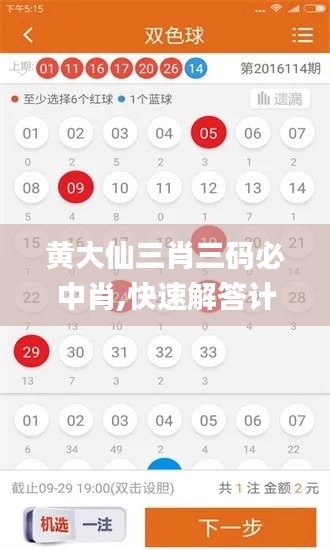 黄大仙三肖三码必中肖,快速解答计划设计_Q39.599