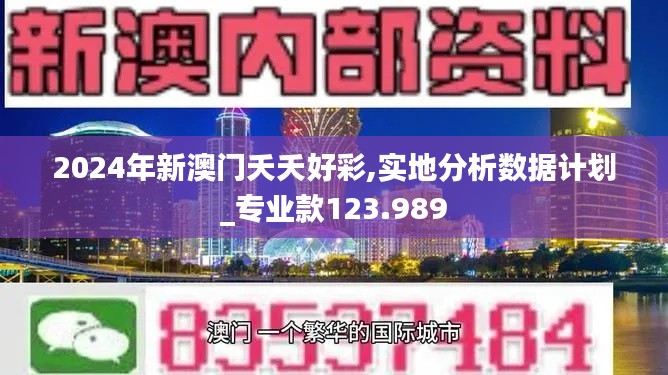 2024年新澳门夭夭好彩,实地分析数据计划_专业款123.989