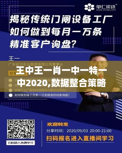 王中王一肖一中一特一中2020,数据整合策略解析_tool98.141