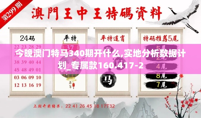 今晚澳门特马340期开什么,实地分析数据计划_专属款160.417-2