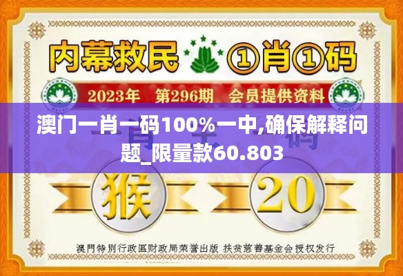 澳门一肖一码100%一中,确保解释问题_限量款60.803