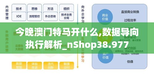 今晚澳门特马开什么,数据导向执行解析_nShop38.977