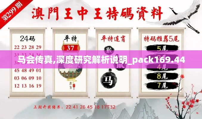 马会传真,深度研究解析说明_pack169.440