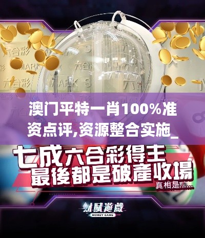 澳门平特一肖100%准资点评,资源整合实施_静态版19.277