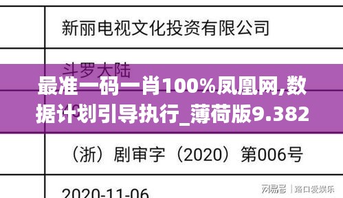 最准一码一肖100%凤凰网,数据计划引导执行_薄荷版9.382