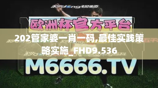 202管家婆一肖一码,最佳实践策略实施_FHD9.536