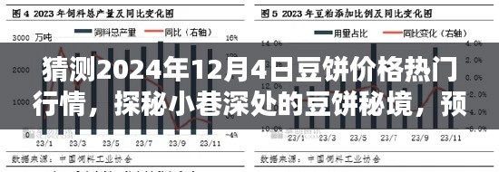 2024年12月5日 第13页