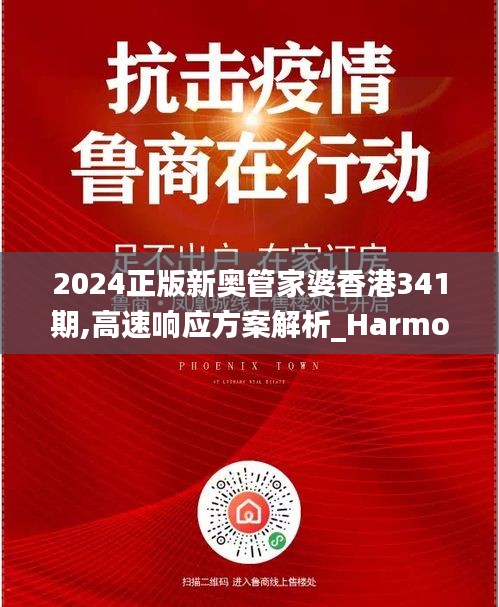 2024正版新奥管家婆香港341期,高速响应方案解析_HarmonyOS10.783