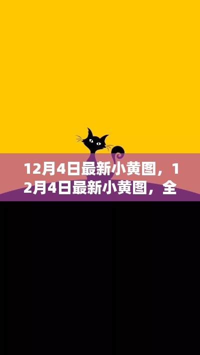 12月4日最新小黄图，全面评测与详细介绍