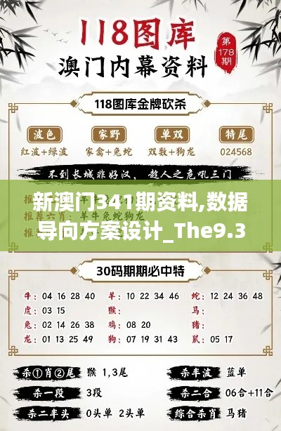 新澳门341期资料,数据导向方案设计_The9.341