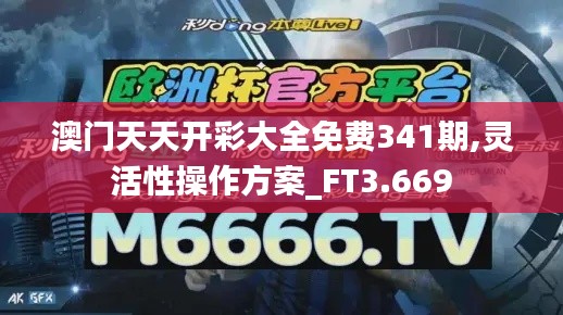 澳门天天开彩大全免费341期,灵活性操作方案_FT3.669