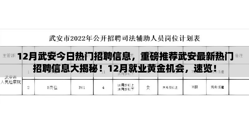 武安最新热门招聘信息揭秘，12月就业黄金机会，不容错过！