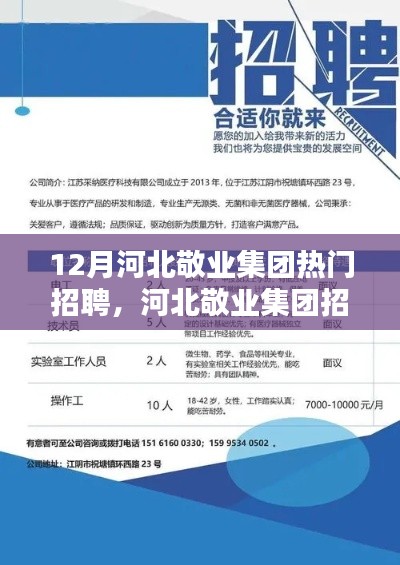 12月河北敬业集团热门招聘，河北敬业集团招聘测评报告——深度解析十二月热门招聘活动