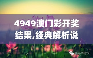 4949澳门彩开奖结果,经典解析说明_桌面版8.298