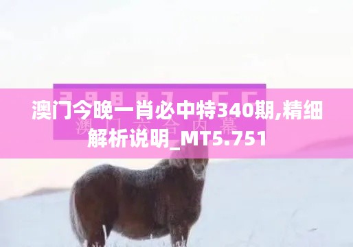 澳门今晚一肖必中特340期,精细解析说明_MT5.751