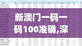 新澳门一码一码100准确,深度分析解释定义_钻石版4.551