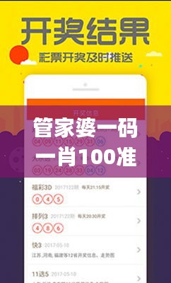 管家婆一码一肖100准,详细解读定义方案_娱乐版9.236