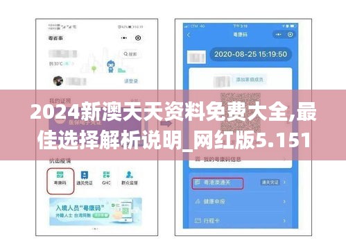2024新澳天天资料免费大全,最佳选择解析说明_网红版5.151