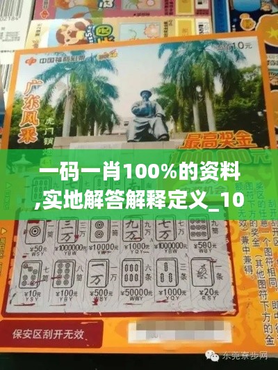 一码一肖100%的资料,实地解答解释定义_10DM2.666