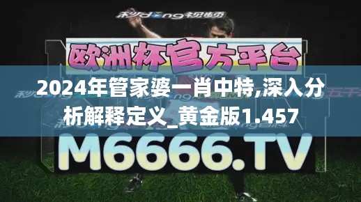 2024年管家婆一肖中特,深入分析解释定义_黄金版1.457