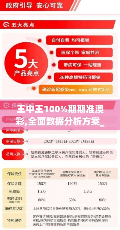 王中王100%期期准澳彩,全面数据分析方案_户外版15.450