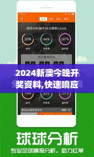 2024新澳今晚开奖资料,快速响应执行方案_增强版17.508