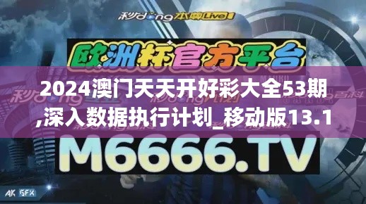 2024澳门天天开好彩大全53期,深入数据执行计划_移动版13.122