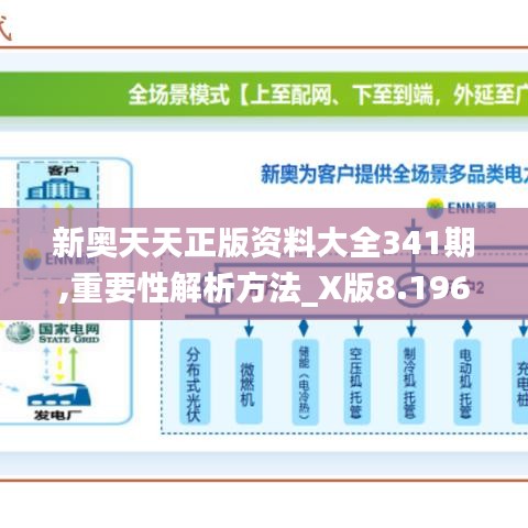 新奥天天正版资料大全341期,重要性解析方法_X版8.196