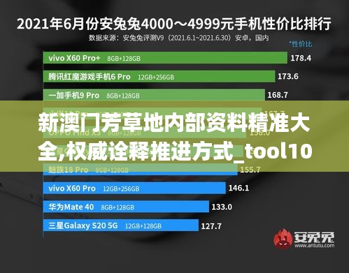 新澳门芳草地内部资料精准大全,权威诠释推进方式_tool10.374