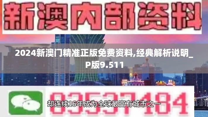 2024新澳门精准正版免费资料,经典解析说明_P版9.511