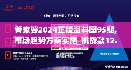 管家婆2024正版资料图95期,市场趋势方案实施_挑战款12.431