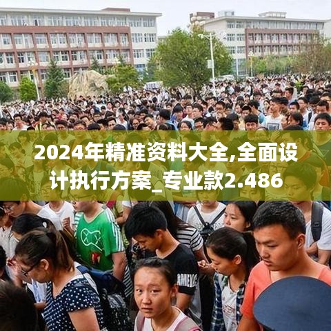 2024年精准资料大全,全面设计执行方案_专业款2.486