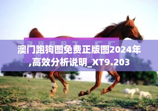 澳门跑狗图免费正版图2024年,高效分析说明_XT9.203