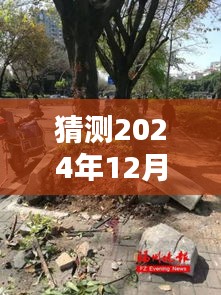 揭秘飞享8新动态，未知惊喜与小巷特色小店的展望——2024年12月4日最新消息速递