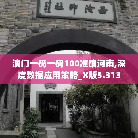 澳门一码一码100准确河南,深度数据应用策略_X版5.313