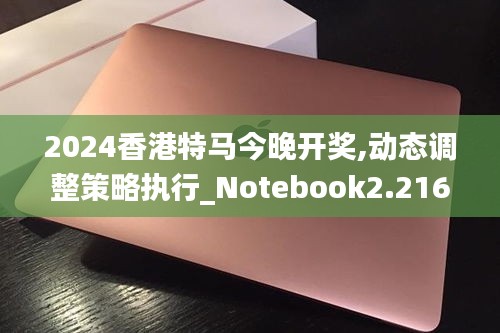 2024香港特马今晚开奖,动态调整策略执行_Notebook2.216