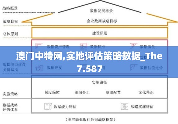 澳门中特网,实地评估策略数据_The7.587