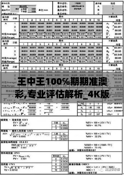 王中王100℅期期准澳彩,专业评估解析_4K版3.804