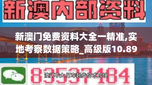 新澳门免费资料大全一精准,实地考察数据策略_高级版10.898