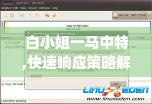 白小姐一马中特,快速响应策略解析_Linux3.259