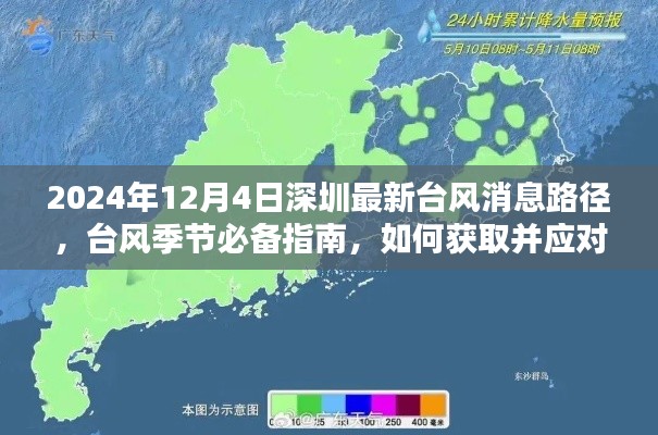 深圳最新台风消息路径指南（2024年台风季节版），获取台风信息及应对策略