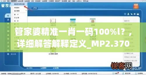 管家婆精准一肖一码100%l？,详细解答解释定义_MP2.370