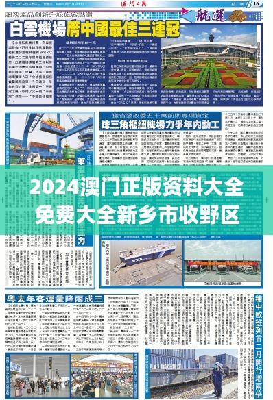 2024澳门正版资料大全免费大全新乡市收野区,创新性方案解析_X8.118