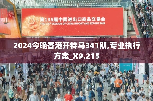 2024今晚香港开特马341期,专业执行方案_X9.215