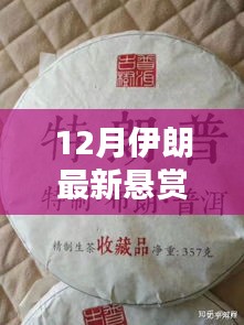 独家爆料，揭秘十二月伊朗最新悬赏动态，财富机会不容错过！