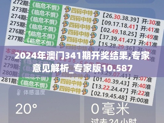 2024年澳门341期开奖结果,专家意见解析_专家版10.587