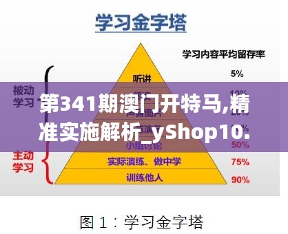 第341期澳门开特马,精准实施解析_yShop10.555