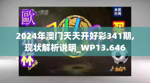 2024年澳门天天开好彩341期,现状解析说明_WP13.646